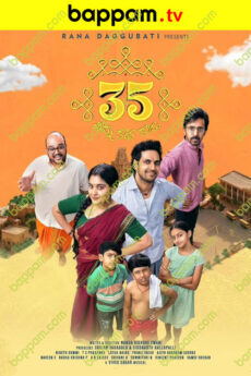 35 Chinna Katha Kaadu