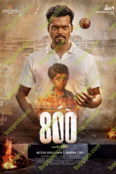 800