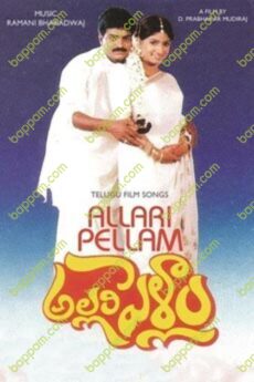 Allari Pellam
