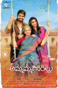 Ammammagarillu