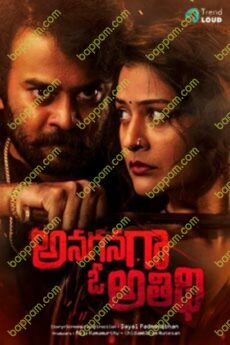 Anaganaga O Athidhi