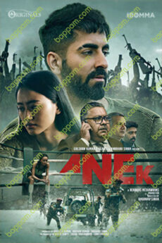 Anek