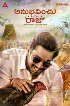 Anubhavinchu Raja