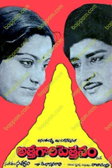 Attagari Pettanam