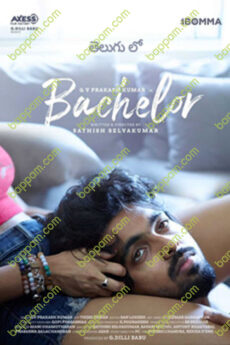Bachelor