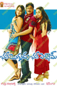 Bhale Mogudu Bhale Pellam