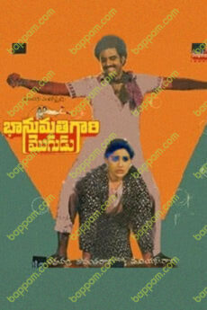Bhanumathi Gari Mogudu