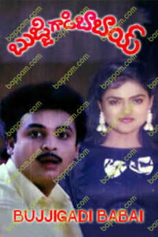 Bujjigadi Babai