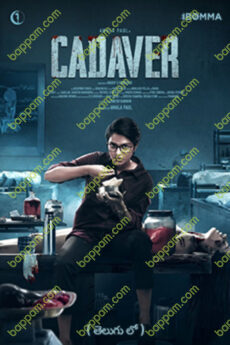 Cadaver