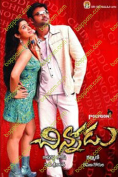 Chinnodu