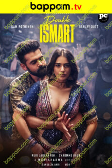 Double iSmart