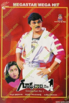 Gudachari No 1