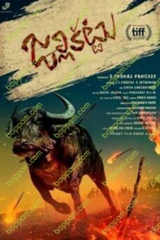 Jallikattu