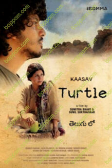 Turtle (Kaasav)