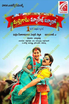Malligadu Marriage Bureau