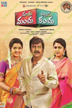 Mama Manchu Alludu Kanchu