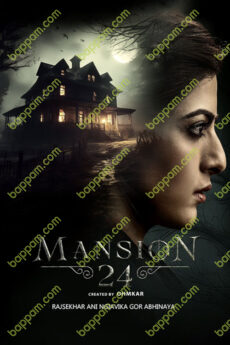 Mansion 24