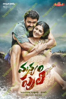 Manyam Puli