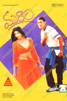 Murari