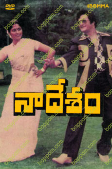 Naa Desam