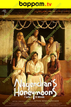 Nagendrans Honeymoons