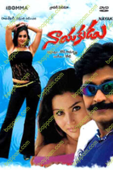 Nayakudu