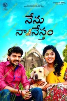Nenu Naa Nestham