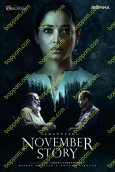 November Story