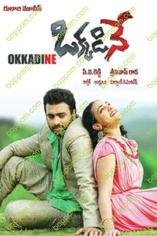 Okkadine