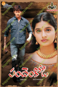 Pandem Kodi