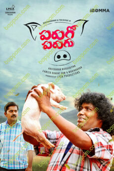 Parugo Parugu