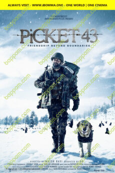 Picket 43