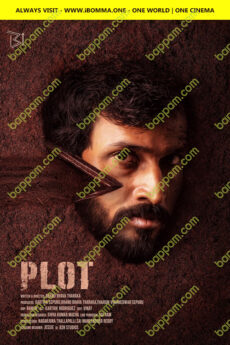 Plot