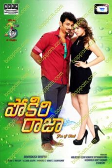Pokkiri Raja