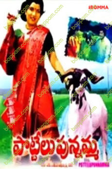 Pottelu Punnamma