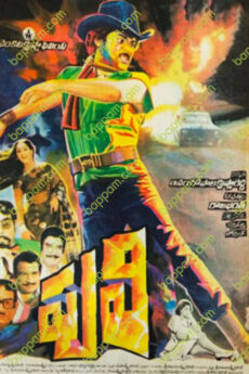 Puli