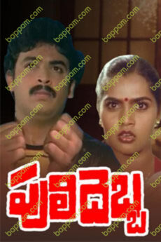 Puli Debba