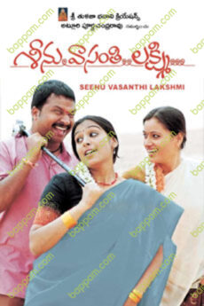 Seenu Vasanthi Lakshmi