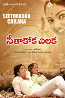 Seethakoka Chiluka