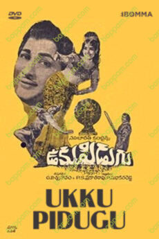 Ukku Pidugu