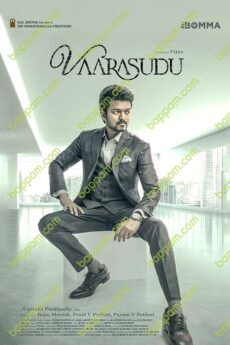 Vaarasudu