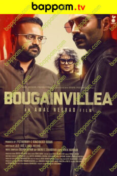 Bougainvillea