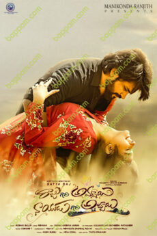 Raju Gari Ammayi Naidu Gari Abbayi
