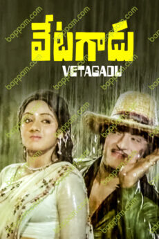 Vetagadu