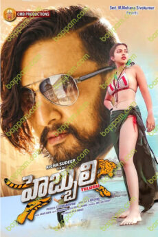Hebbuli