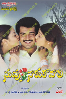 Nuvvu Naaku Kaavali