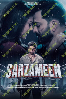 Sarzameen